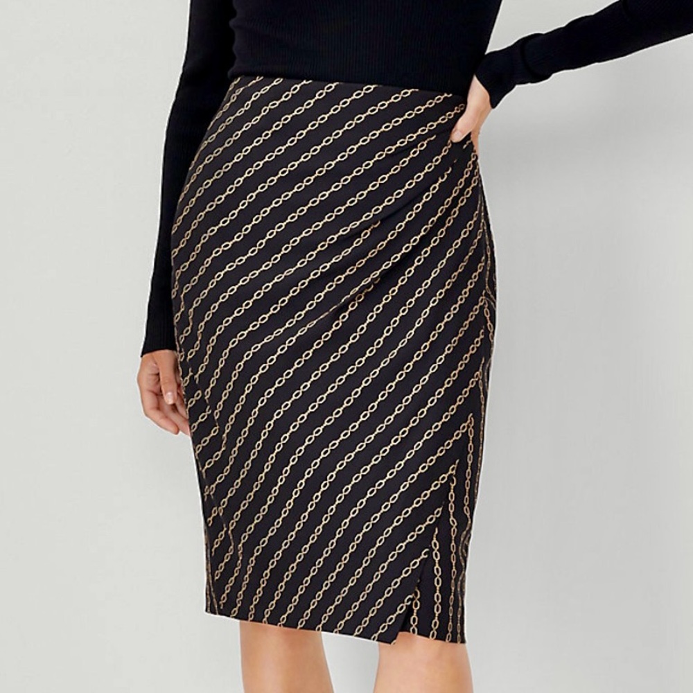 Ann Taylor Pencil Skirt NWT